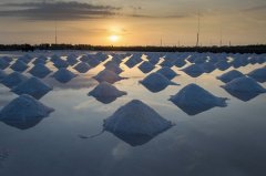 广东盐业集团严沉